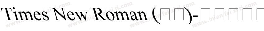 Times New Roman (正文)字体转换